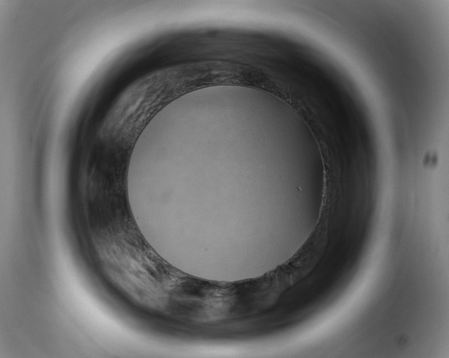 X0000115380143200911241312