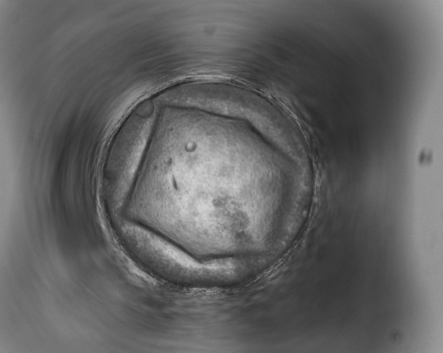 X0000115380145200911241311