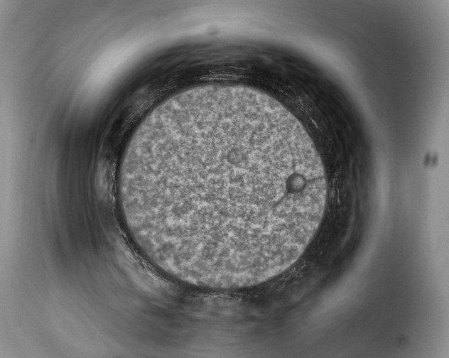 X0000115380146200911241311