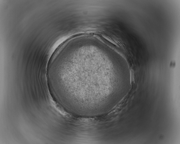 X0000115380147200911241311