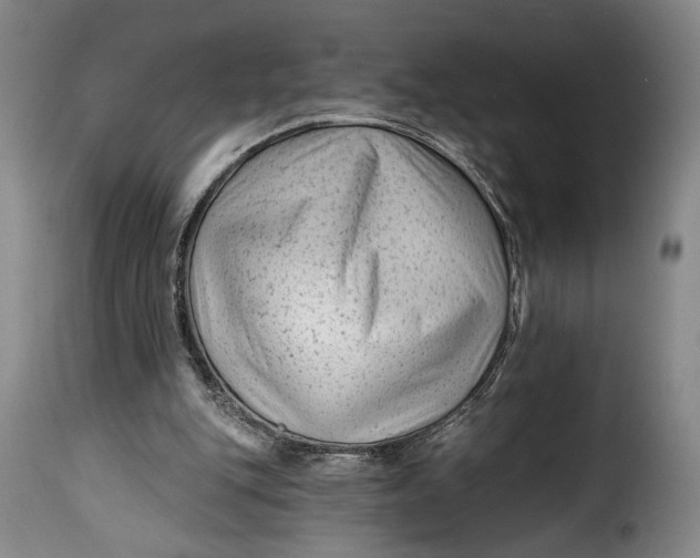 X0000115380151200911241311