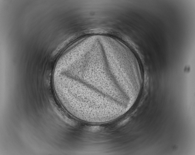 X0000115380153200911241311