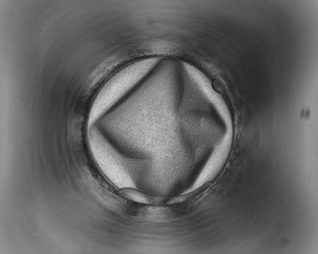 X0000115380154200911241311