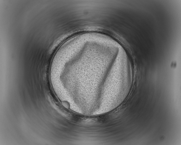 X0000115380155200911241311