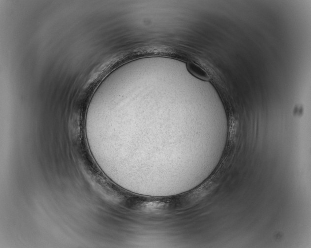 X0000115380158200911241311