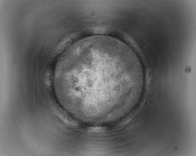 X0000115380161200911241311