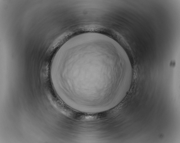 X0000115380163200911241311