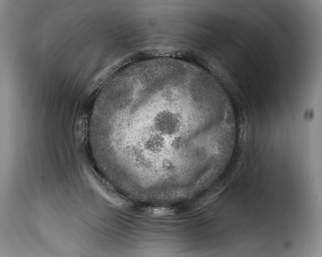 X0000115380165200911241311