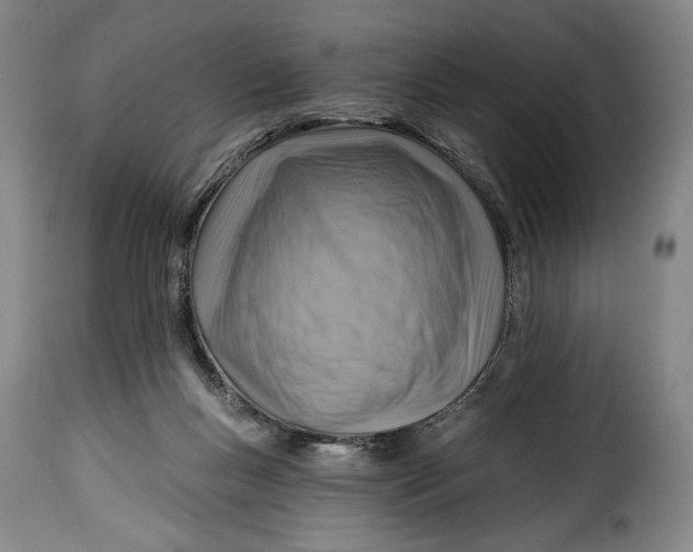 X0000115380167200911241311