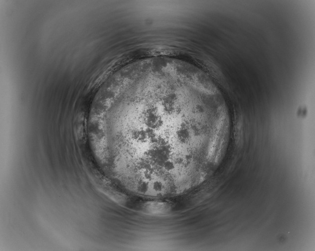 X0000115380169200911241311