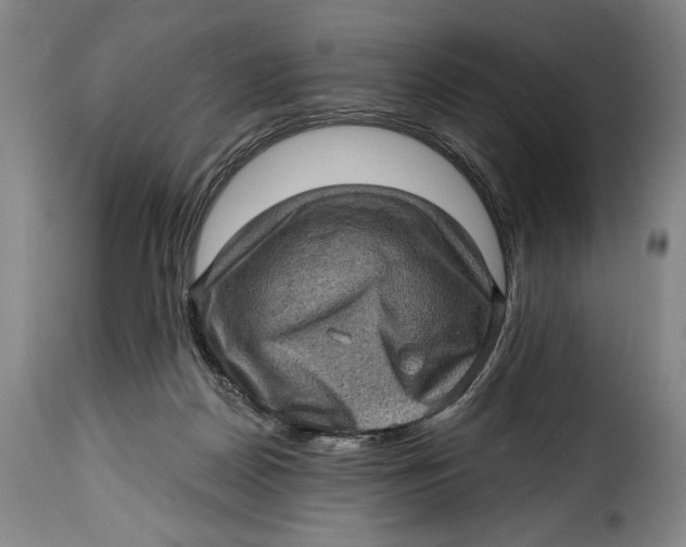 X0000115380170200911241311