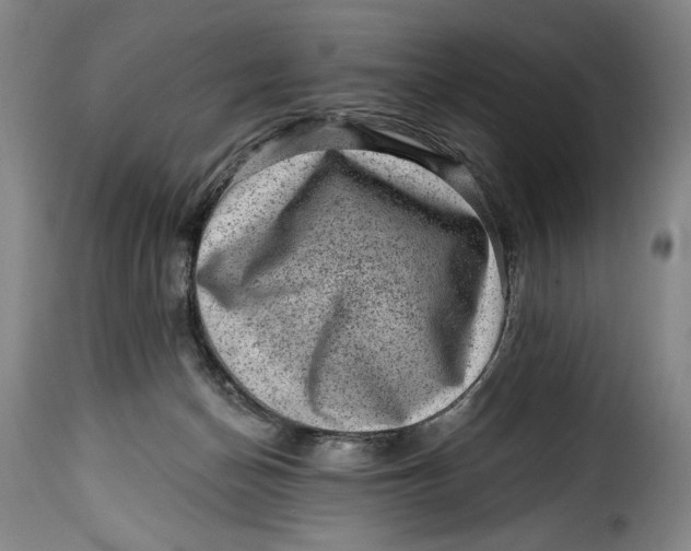 X0000115380174200911241311