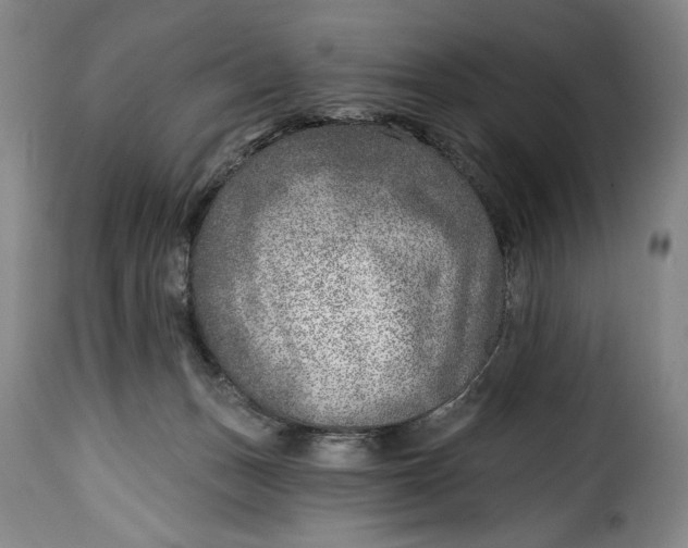 X0000115380175200911241311