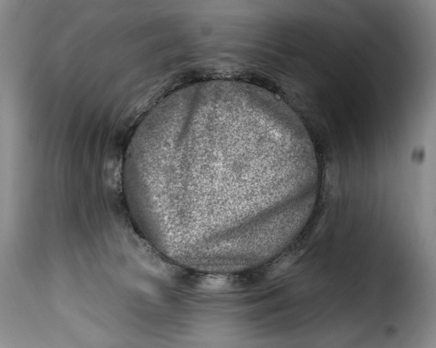 X0000115380177200911241312