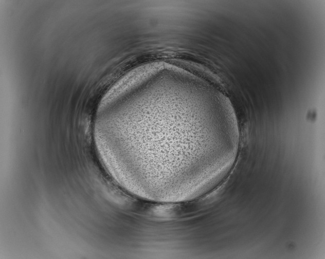 X0000115380178200911241312