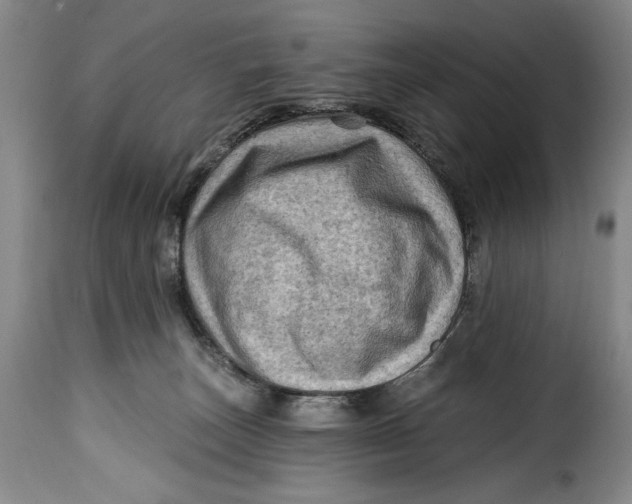 X0000115380179200911241312