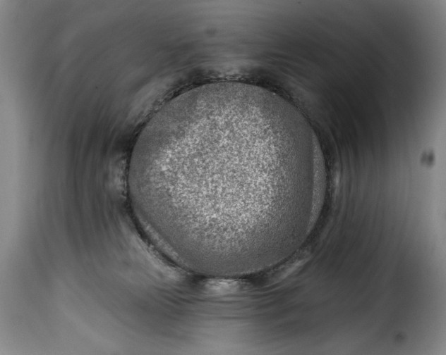 X0000115380181200911241312