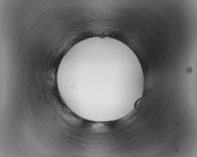 X0000115380183200911241312