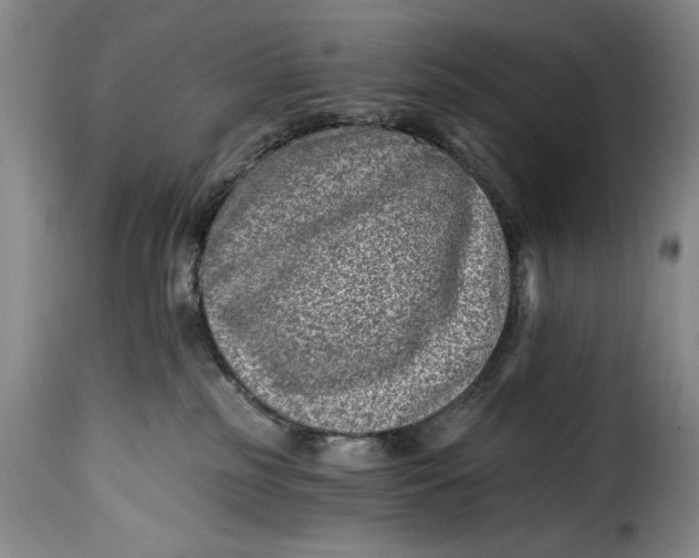 X0000115380185200911241312