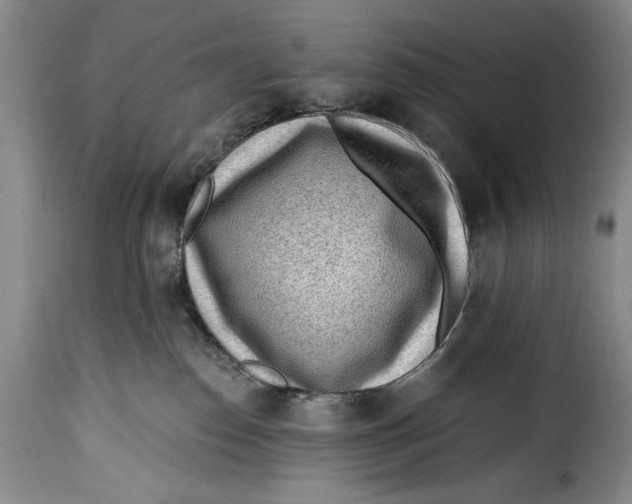 X0000115380186200911241312