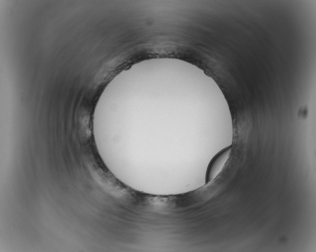 X0000115380187200911241312