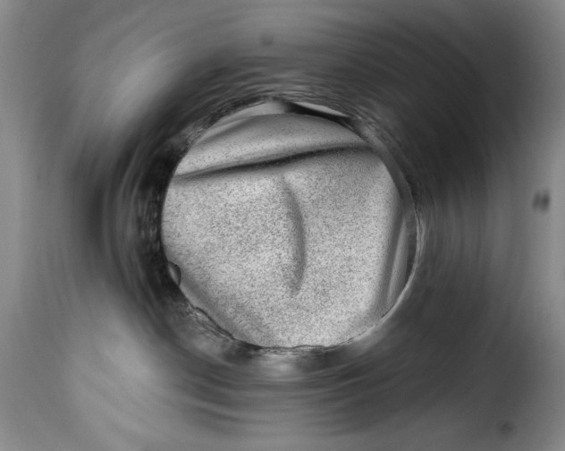 X0000115380190200911241312