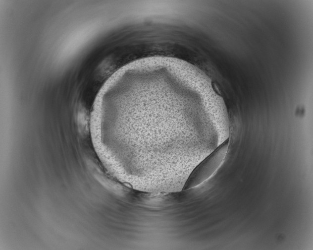 X0000115380191200911241312