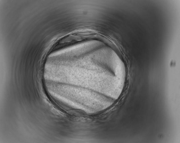 X0000115380193200911241311