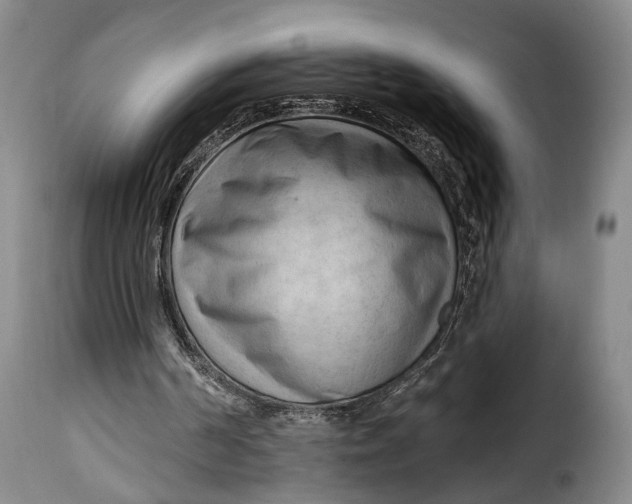 X0000115380194200911241311