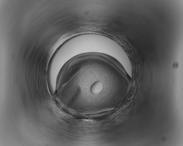 X0000115380195200911241311