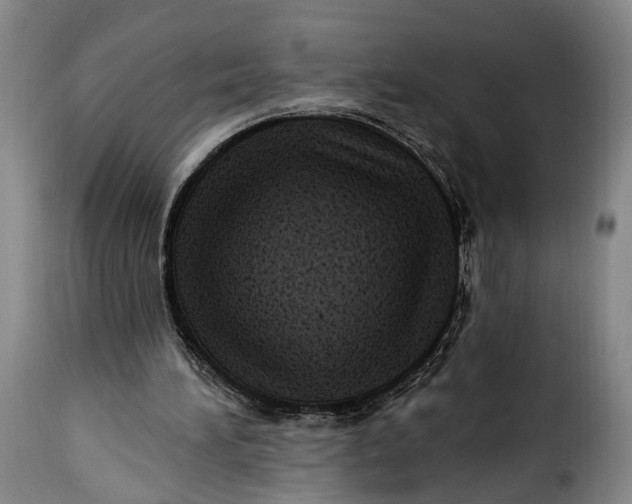 X0000115380196200911241311