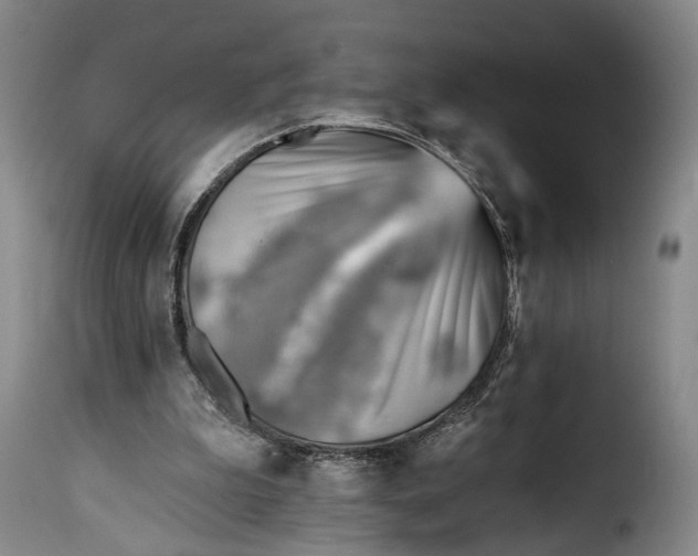 X0000115380199200911241311