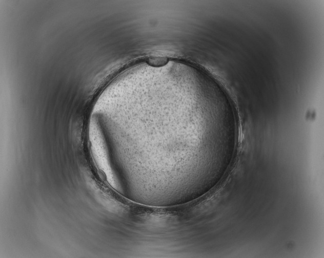 X0000115380201200911241311