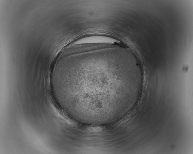 X0000115380202200911241311