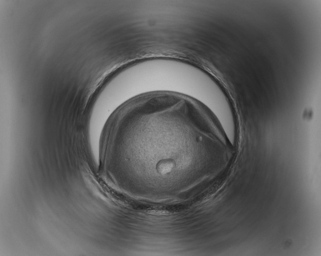 X0000115380203200911241311