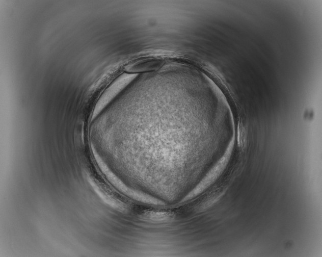 X0000115380205200911241311