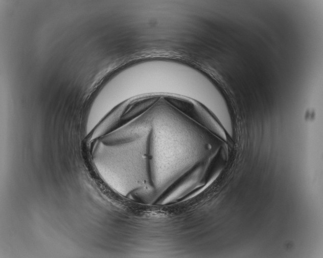 X0000115380207200911241311