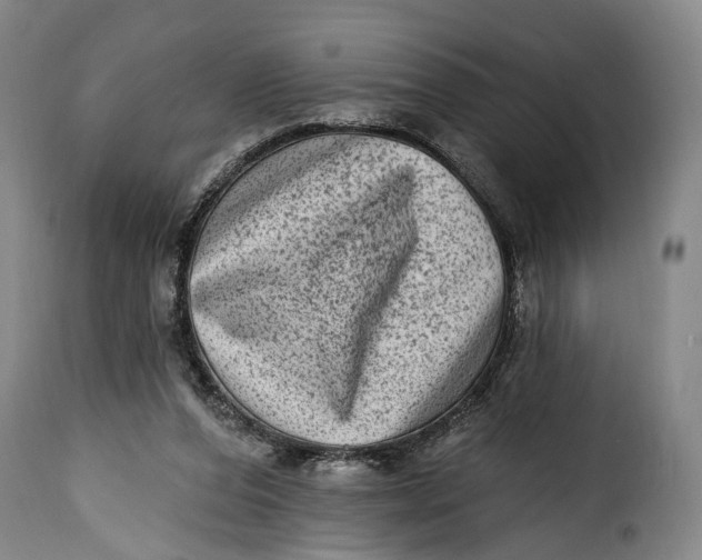 X0000115380208200911241311