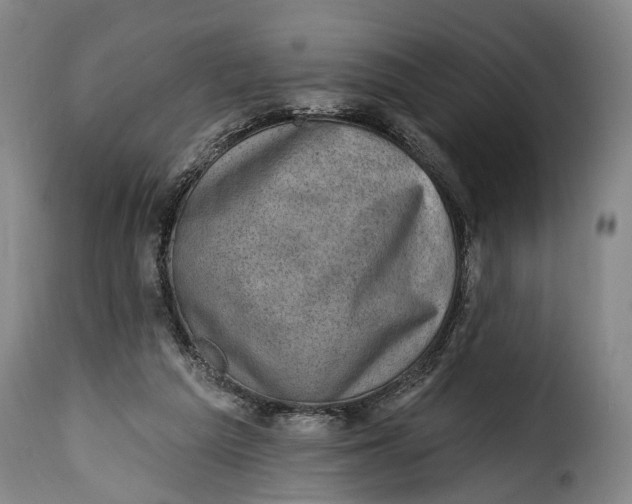 X0000115380209200911241311