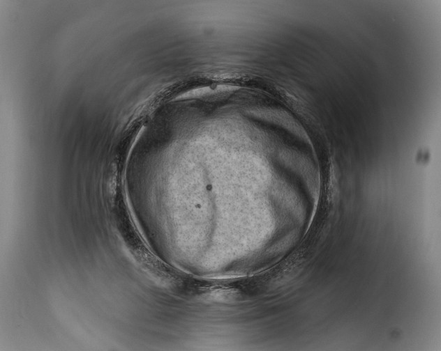 X0000115380210200911241311