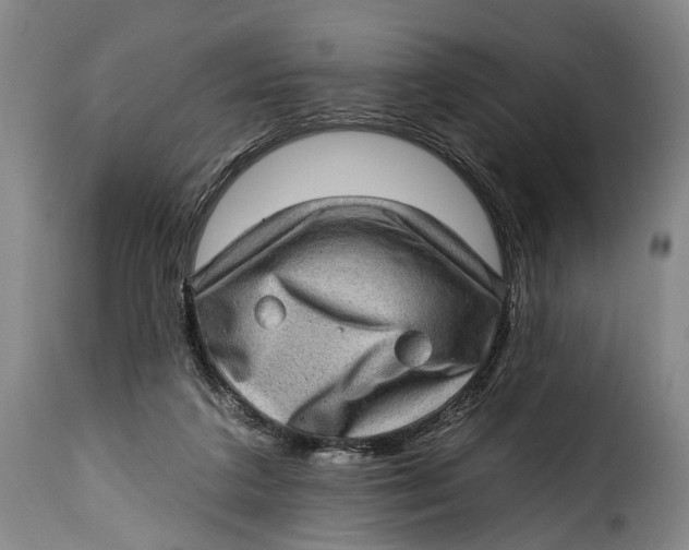 X0000115380211200911241311