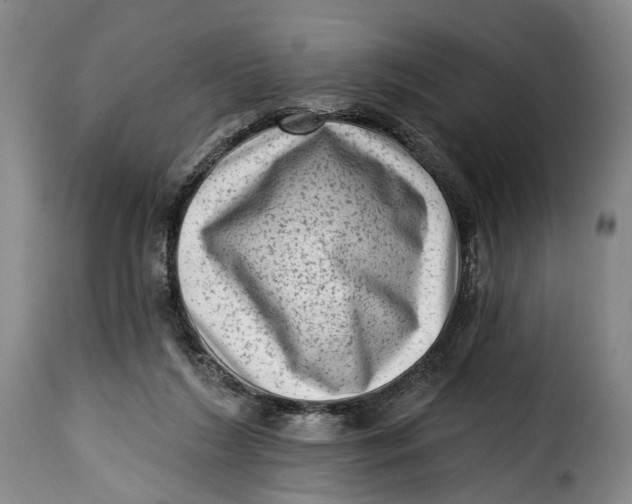 X0000115380212200911241311