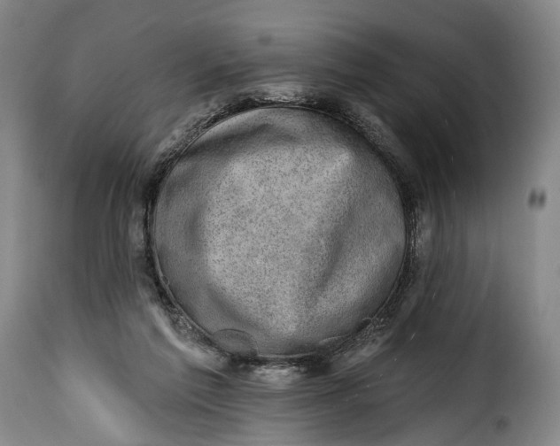 X0000115380213200911241311