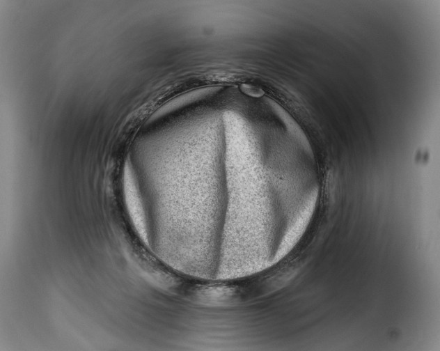 X0000115380217200911241311