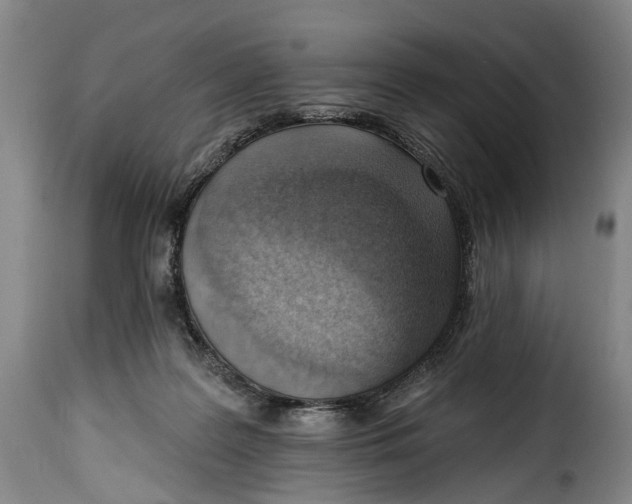 X0000115380219200911241311