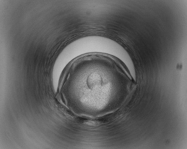 X0000115380221200911241311