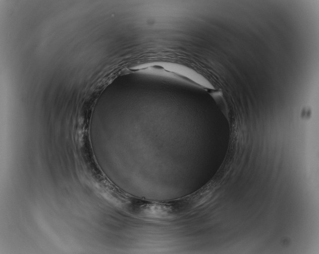 X0000115380223200911241310