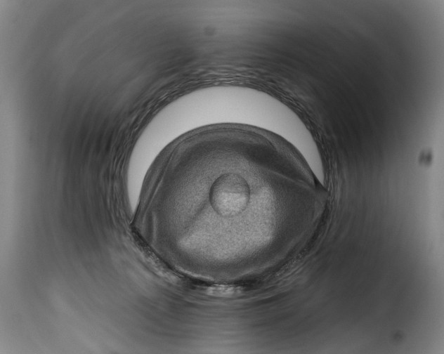 X0000115380225200911241310