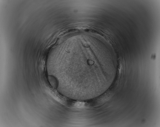 X0000115380227200911241310