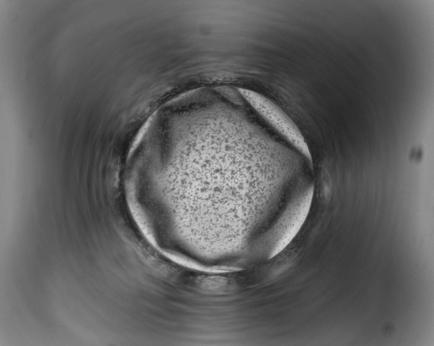 X0000115380230200911241310